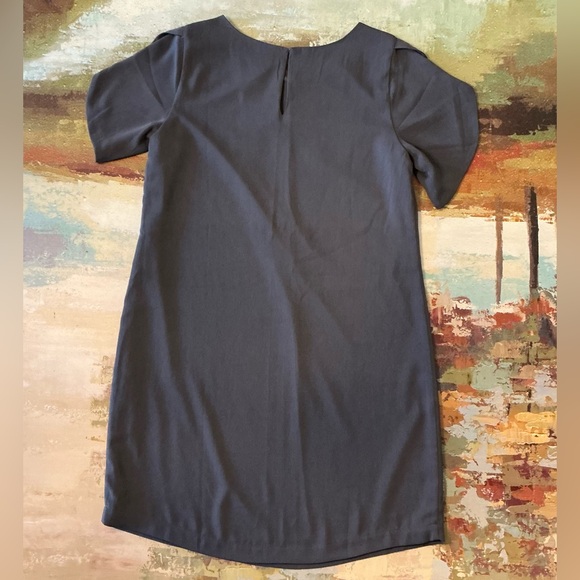 NAKED ZEBRA - Shift Dress - Picture 5 of 9